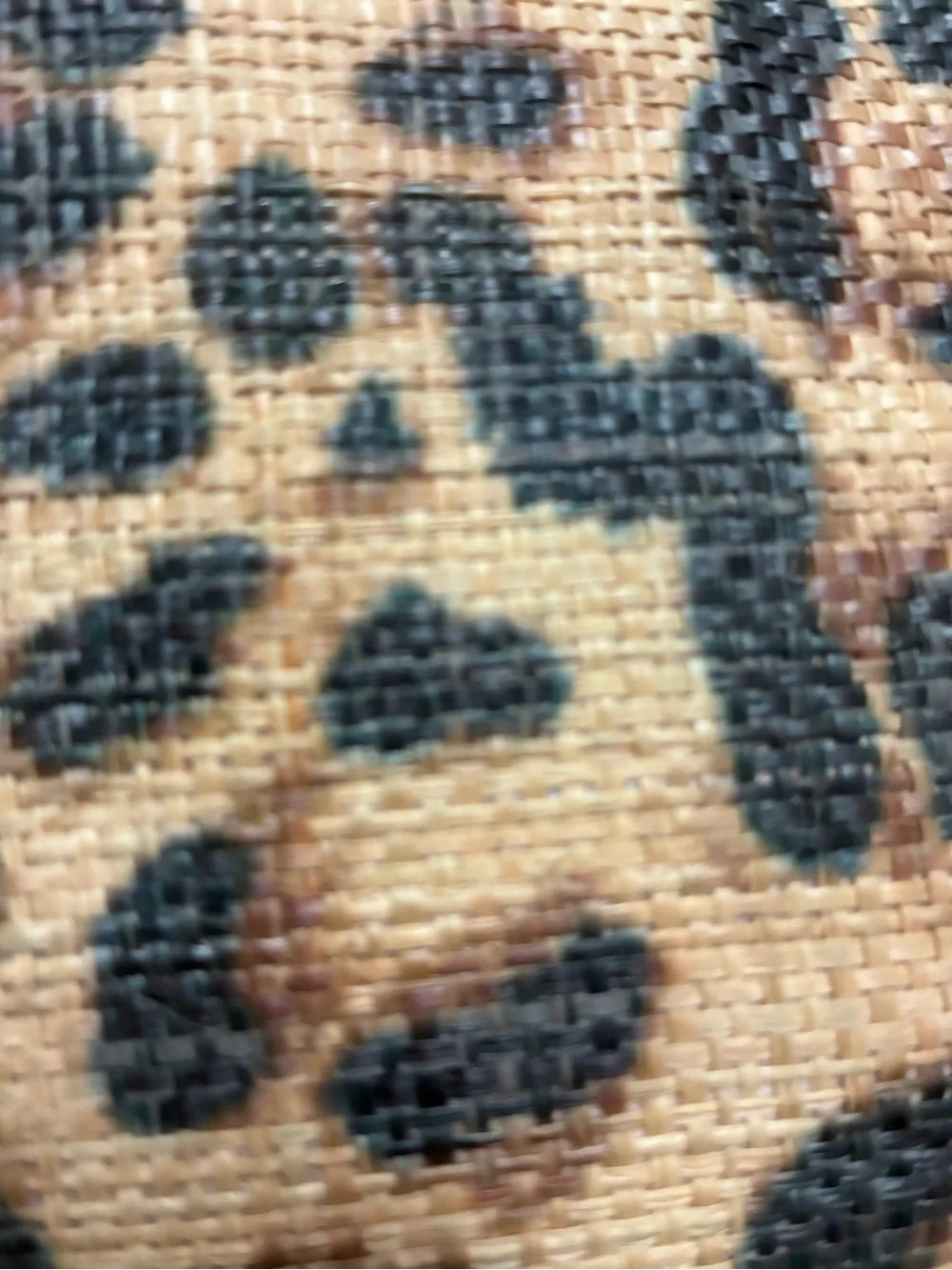 Lilly Pulitzer Leopard Print Tote Bag with Black Trim